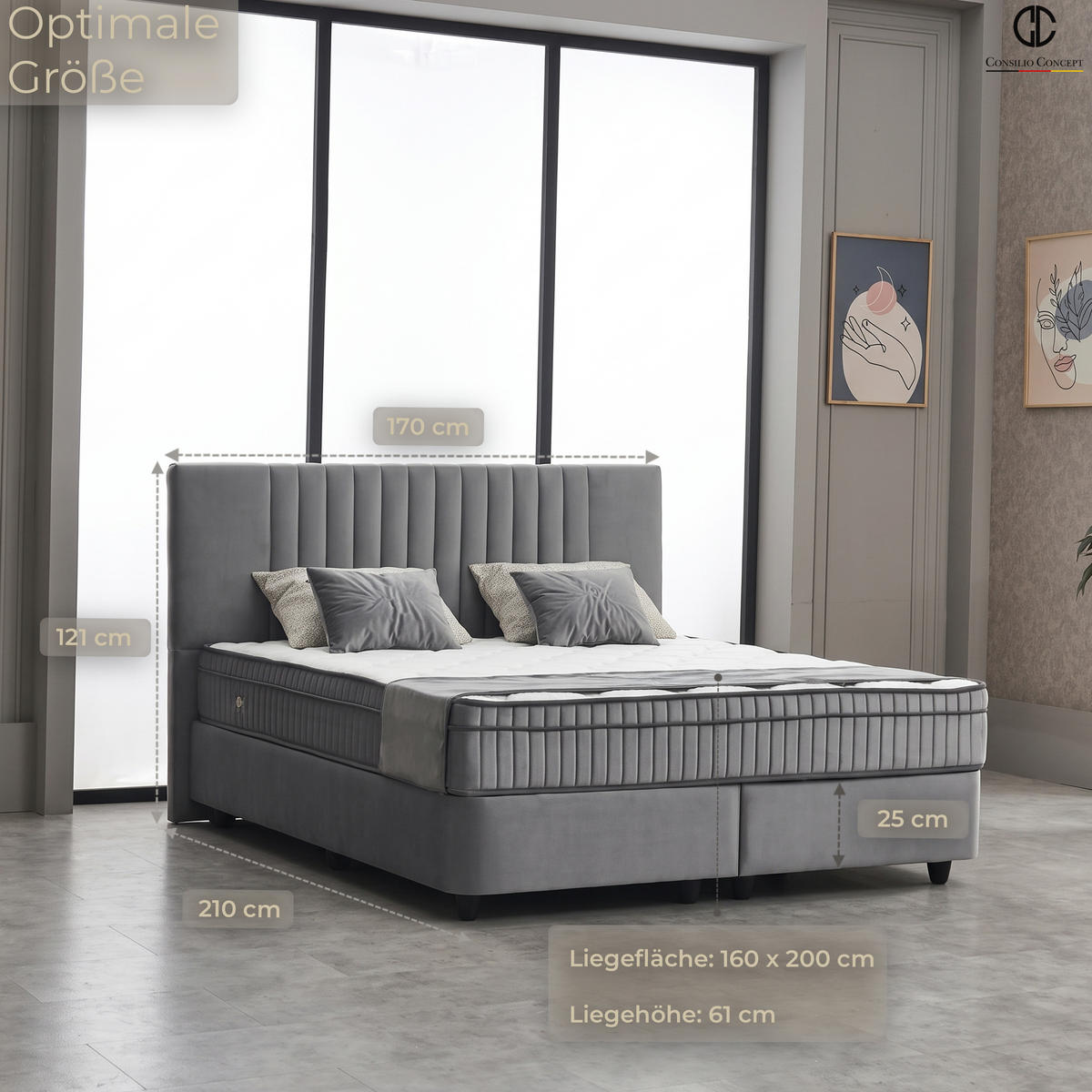 BOXSPRINGBETT MIT BETTKASTEN CARL 160/200 cm, Grau, Bettkasten, Matratze, Topper integriert, H3 mittel 7-Zonen Matratze - Schwarz/Grau, Holz/Kunststoff (160/200cm) - Consilio Concept