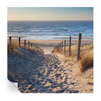 FOTOTAPETE 250x250 cm - Strandweg - Weiß, Textil (250/250cm) - Wallfluent