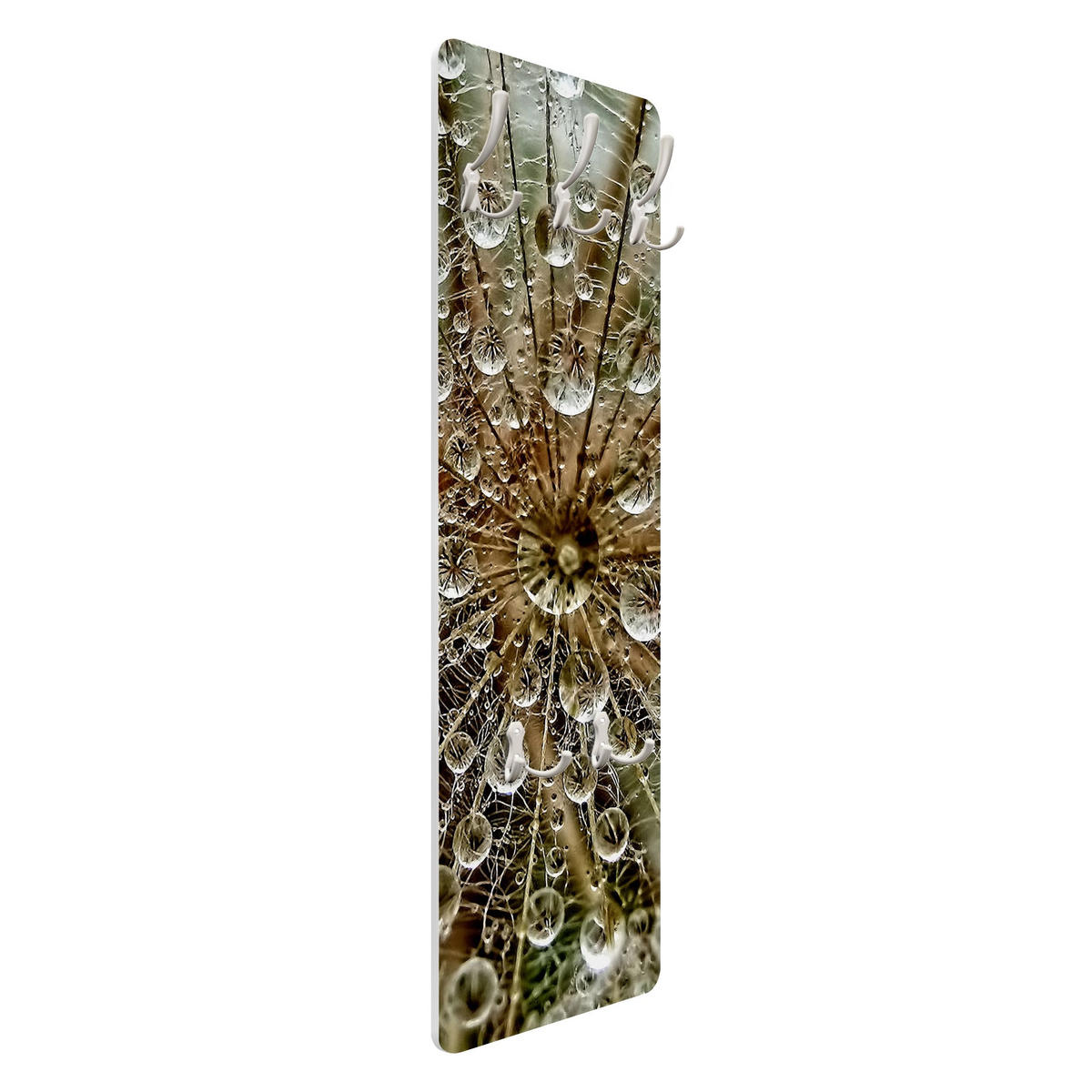 WANDGARDEROBE - Pusteblume im Herbst 34/105 cm - Beige, Holzwerkstoff (34/105/1.6cm) - Bilderwelten