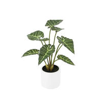 KUNSTPFLANZE Künstliche Alocasia - Svannah 59 cm - Grün, Kunststoff (58cm) - aplanta