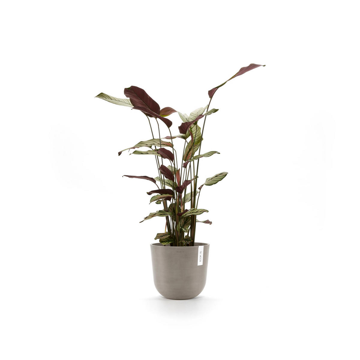 BLUMENTOPF Oslo 25/21,8 cm Taupe - Taupe, Kunststoff (25/21.8cm) - Ecopots