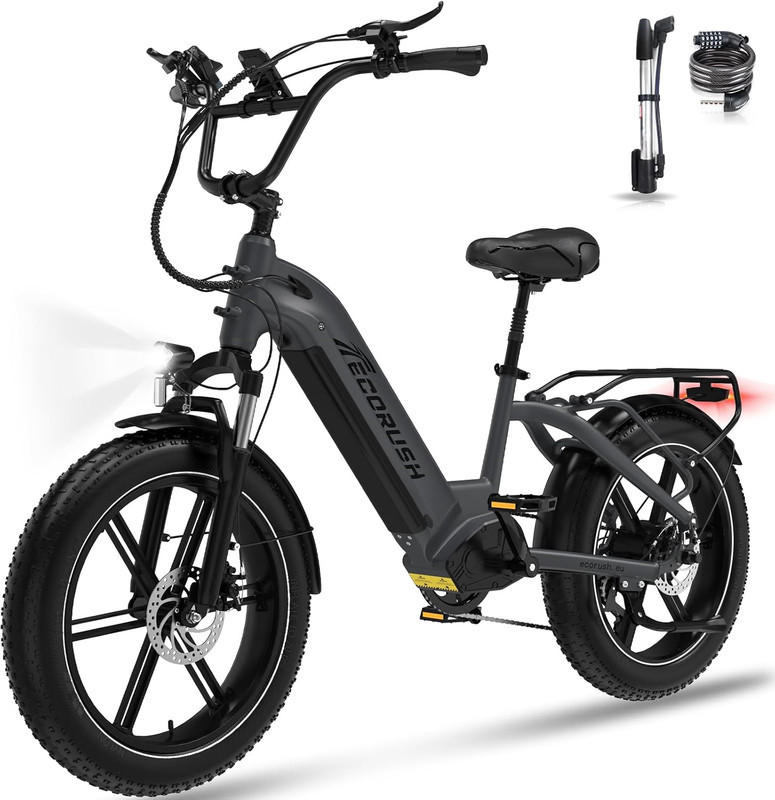 E-BIKE Mountain R6 20*4,0 Zoll, 7 Gang, Aluminiumrahmen, bis zu 120km - Grau, Metall (31cm) - ECORUSH