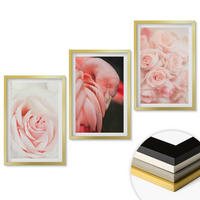 WANDBILDER 3er Set - 40x60 cm Goldrahmen - Zartrosa Flamingos - Goldfarben, Kunststoff (40/60cm) - ArtPrintCave