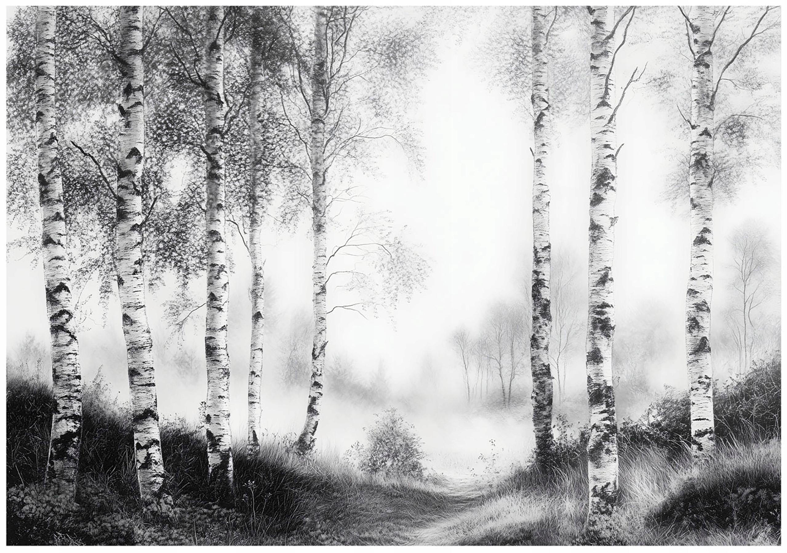 FOTOTAPETE Wald Schwarz Weiß Vlies Tapete Wohnzimmer Schlafzimmer 400x280 - Grau, Papier (400/280cm) - Wallarena
