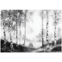FOTOTAPETE Wald Schwarz Weiß Vlies Tapete Wohnzimmer Schlafzimmer 250x175 - Grau, Papier (250/175cm) - Wallarena