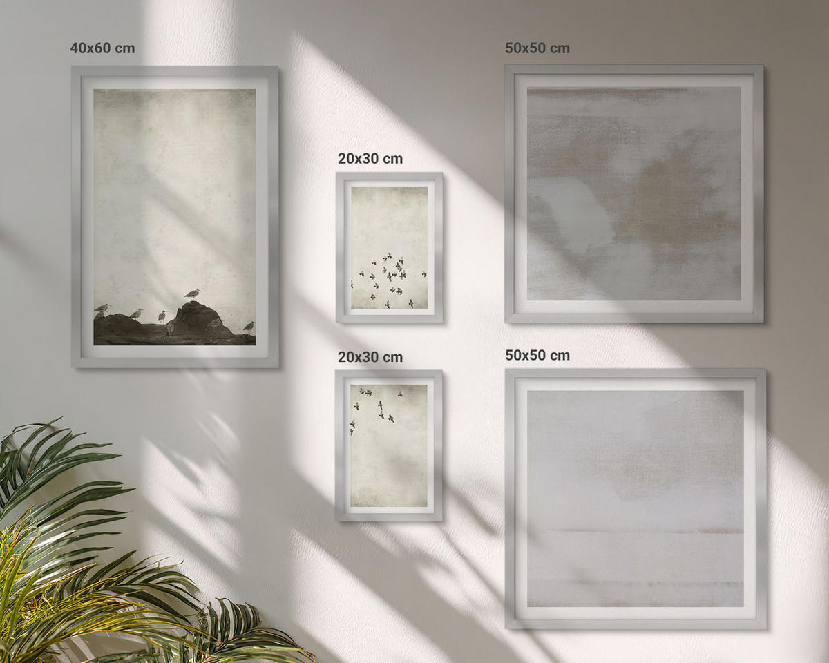 BILDER SET 5er Set - 50x50 cm & 20x30 cm & 40x60 cm Silberner Rahmen - Minimalistische Vögel im Flug - Silberfarben, Kunststoff (40/60cm) - TULUP