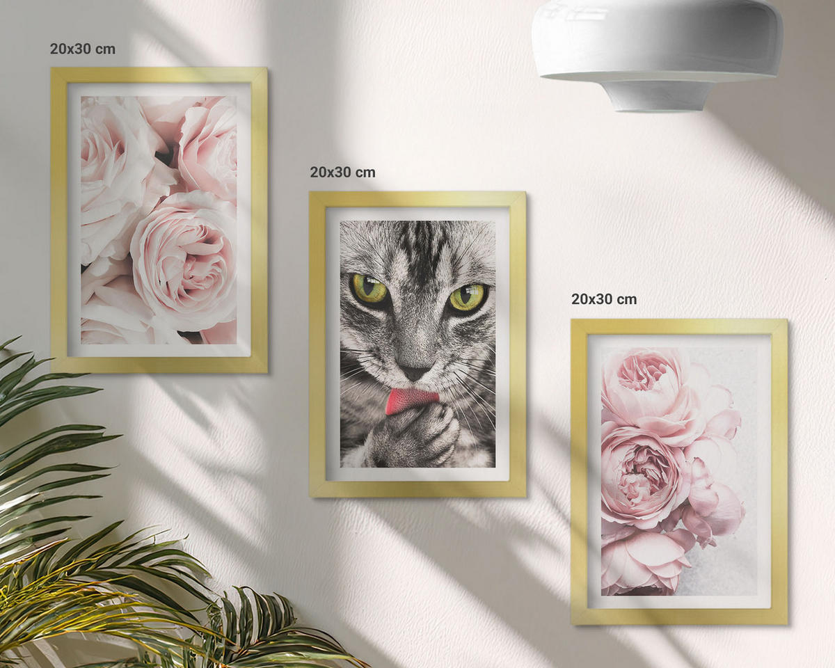 BILDER SET 3er Set - 20x30 cm Goldrahmen - Katze in rosa Blumen - Goldfarben, Kunststoff (20/30cm) - TULUP