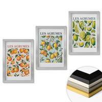 WANDBILDER 3er Set - 20x30 cm Silberner Rahmen - Fruchtige Zitrus-Pastellmuster - Silberfarben, Kunststoff (20/30cm) - ArtPrintCave