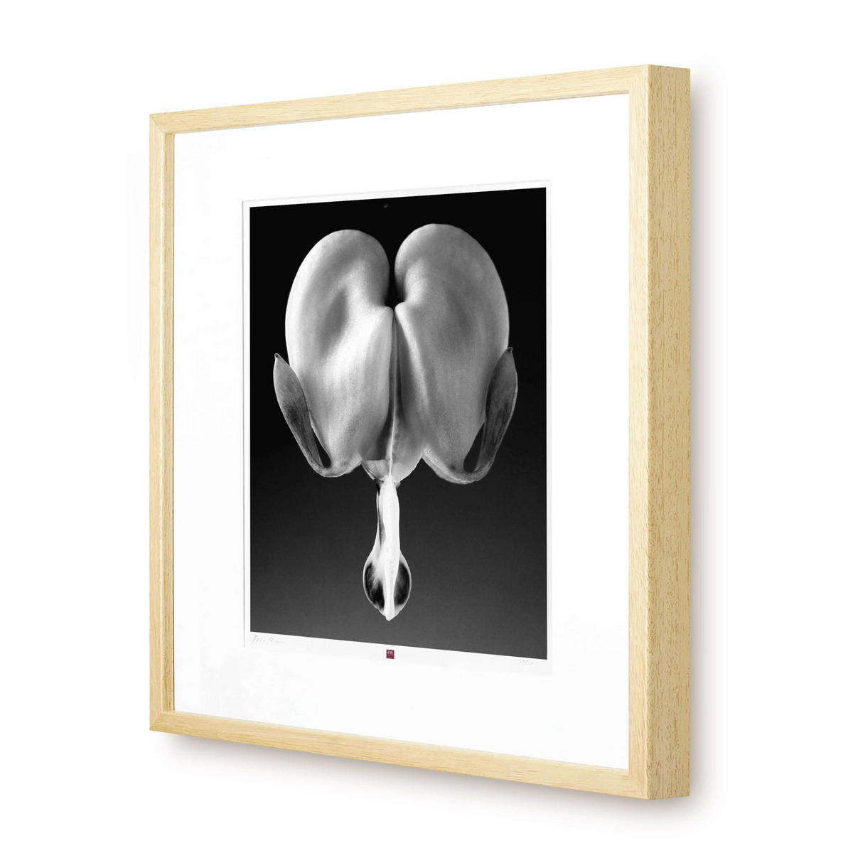 KUNSTDRUCK Schwarz-Weiß 50/50 cm - Schwarz, Glas/Papier (2.4/50cm) - KUNSTLOFT