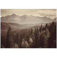 FOTOTAPETE Wald Natur Braun 400x280 cm - Multicolor, Papier (400/280cm) - Wallarena