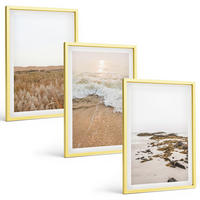 BILDER SET 3er Set - 40x60 cm Goldrahmen - Strandwellen, Steine, Sommer - Goldfarben, Kunststoff (40/60cm) - TULUP