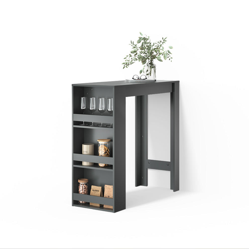 BARTISCH Regusa Anthrazit 45 x 110 cm - Anthrazit, Holzwerkstoff (110/45/106cm) - Livinity®