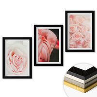WANDBILDER 3er-Set - 20x30 cm Schwarzer Rahmen - Zartrosa Flamingos - Schwarz, Kunststoff (20/30cm) - ArtPrintCave