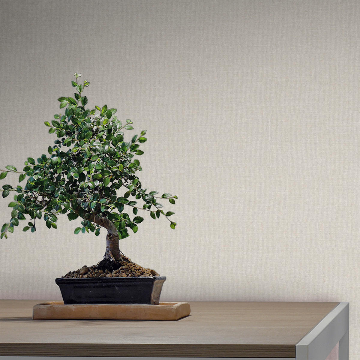 TAPETE Leinen-Optik 53 cm x 10 m - Beige, Papier (53/1000cm) - Sanders & Sanders