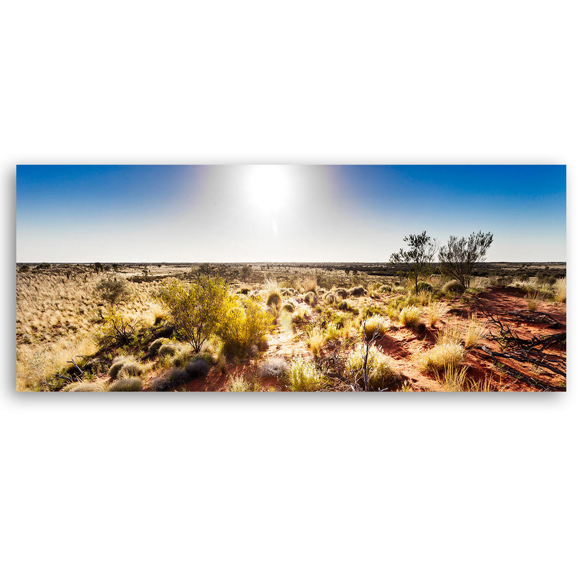 WANDBILD wüstenvegetation - Braun, Textil (90/30cm) - Feeby