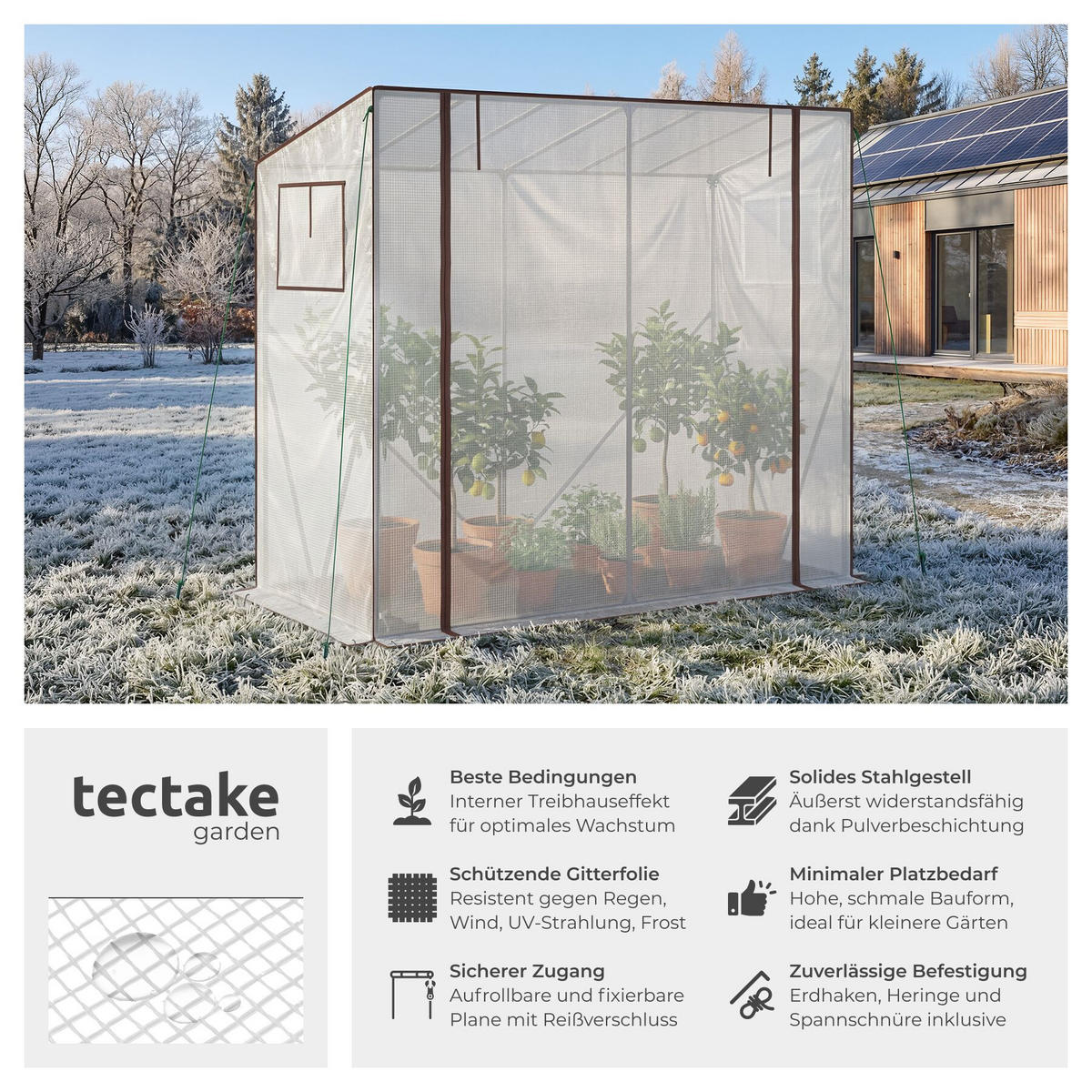 FOLIENGEWÄCHSHAUS Anton, 200 x 77 x 170 cm, inklusive Befestigungsmaterial, transparent - Transparent, Kunststoff (200/170/77cm) - tectake