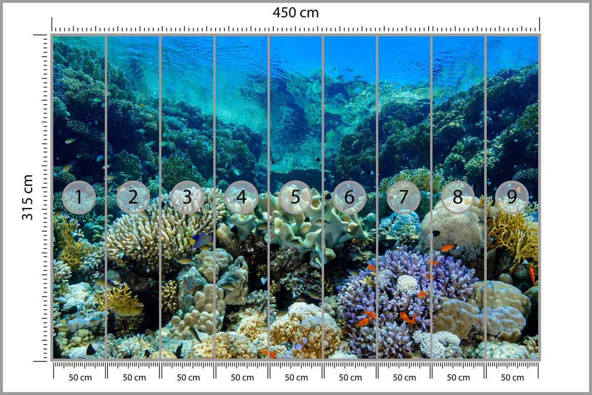FOTOTAPETE Unterwasserwelt Korallenriff Bunte Fische Meer Natur 450x315 - Türkis/Gelb, Papier (450/315cm) - Muralo