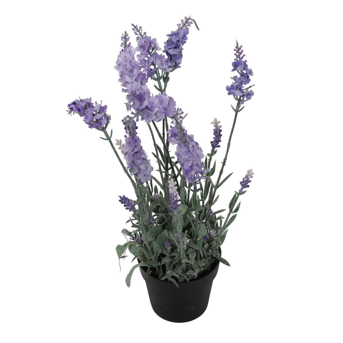 LAVENDEL im Topf 15/15/40 cm - Multicolor, Kunststoff (40cm) - Home Styling Collection