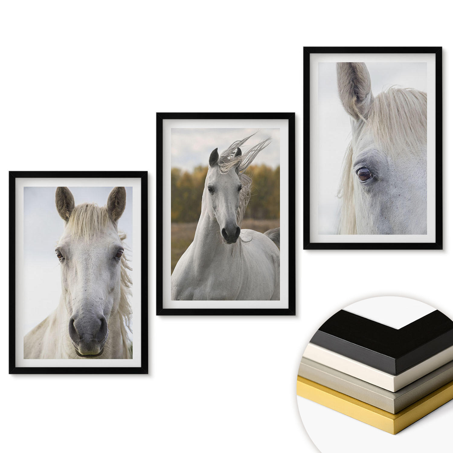 WANDBILDER 3er-Set - 40x60 cm Schwarzer Rahmen - Weiße Pferde in der Natur - Schwarz, Kunststoff (40/60cm) - ArtPrintCave
