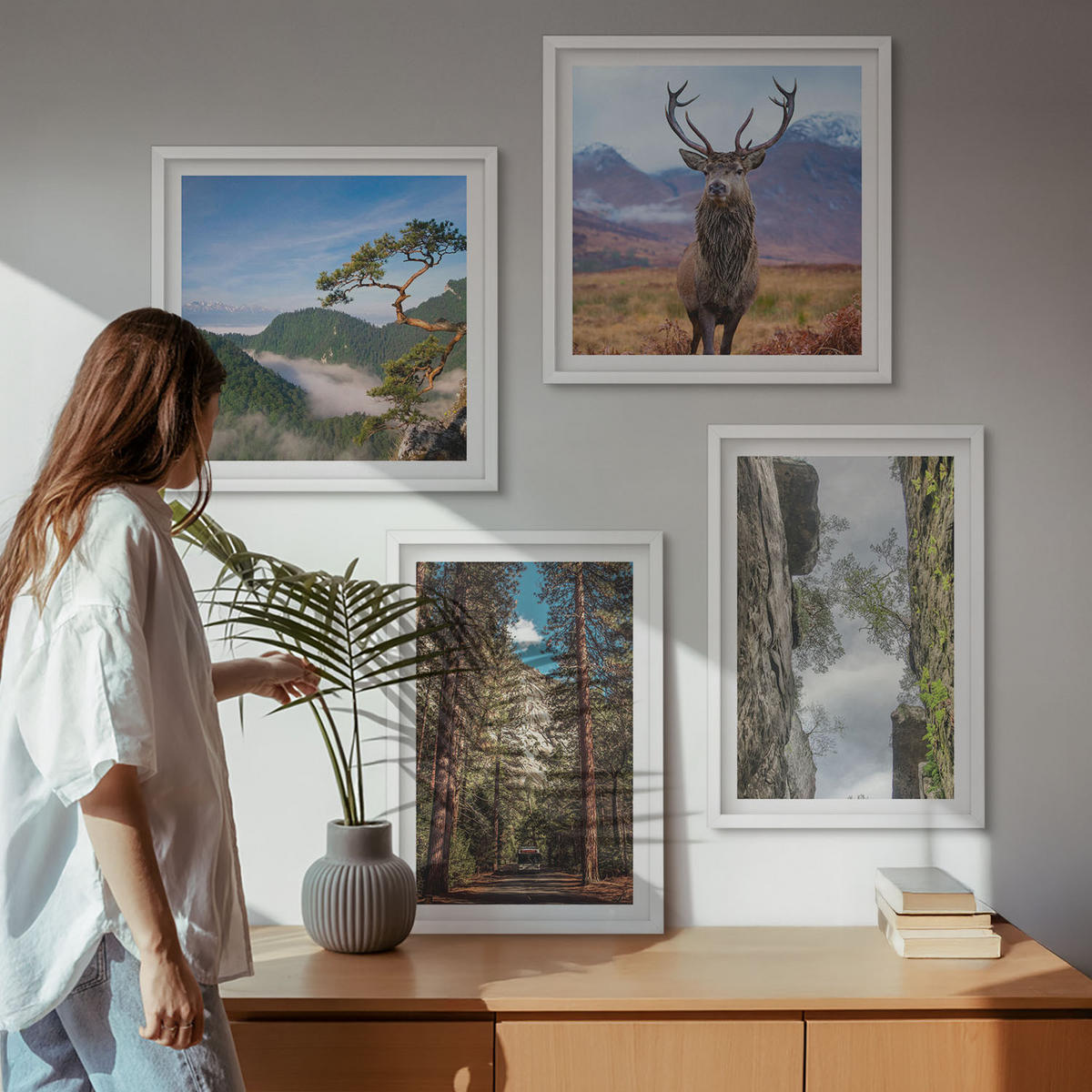 BILDER SET 4er Set - 50x50 cm & 40x60 cm Weißer Rahmen - Straße Wald Berge Hirsch Natur - Weiß, Kunststoff (50/50cm) - TULUP