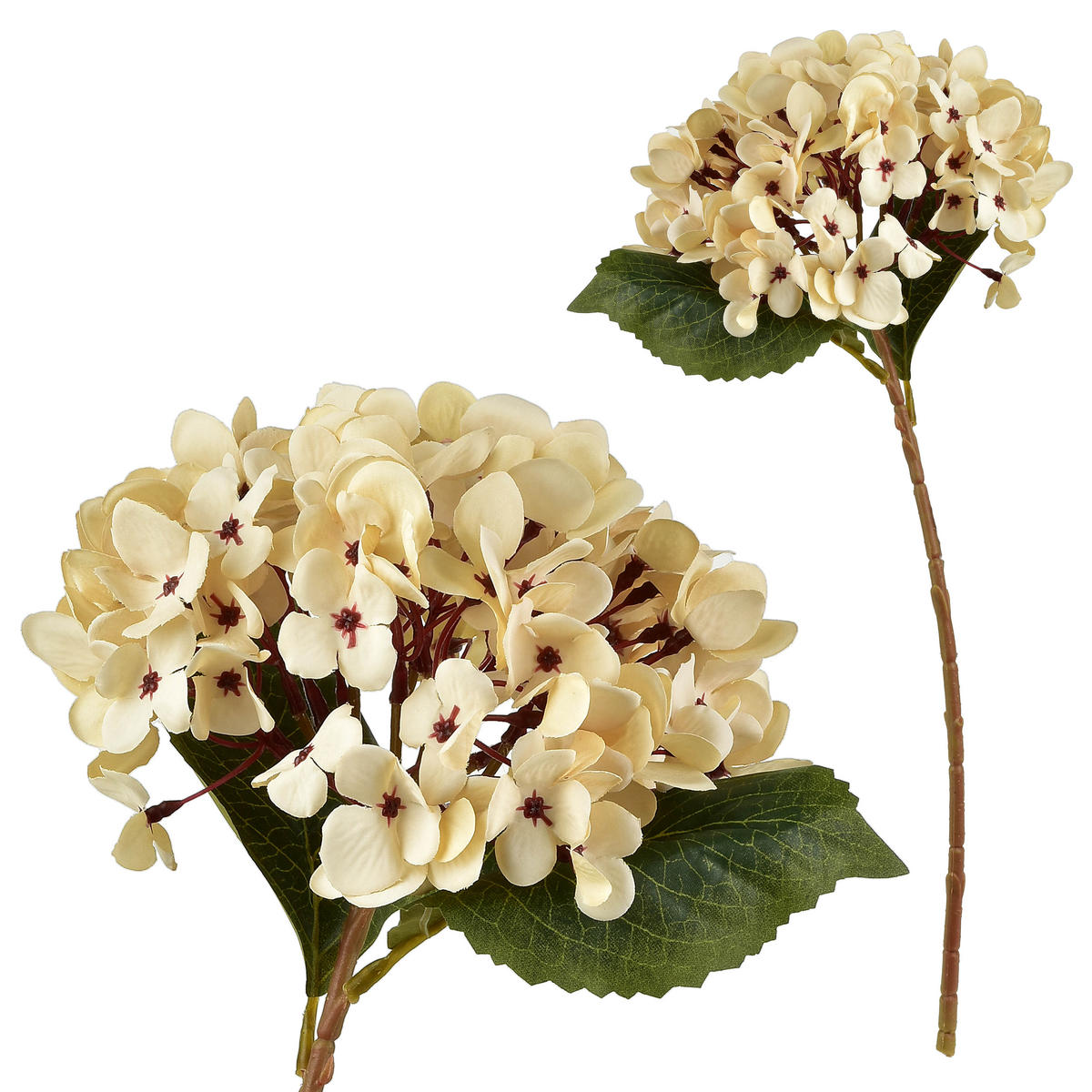 KUNSTBLUME Viridis Beige 17x17x47 cm Kunststoff - Beige, Kunststoff (47cm) - Mondex