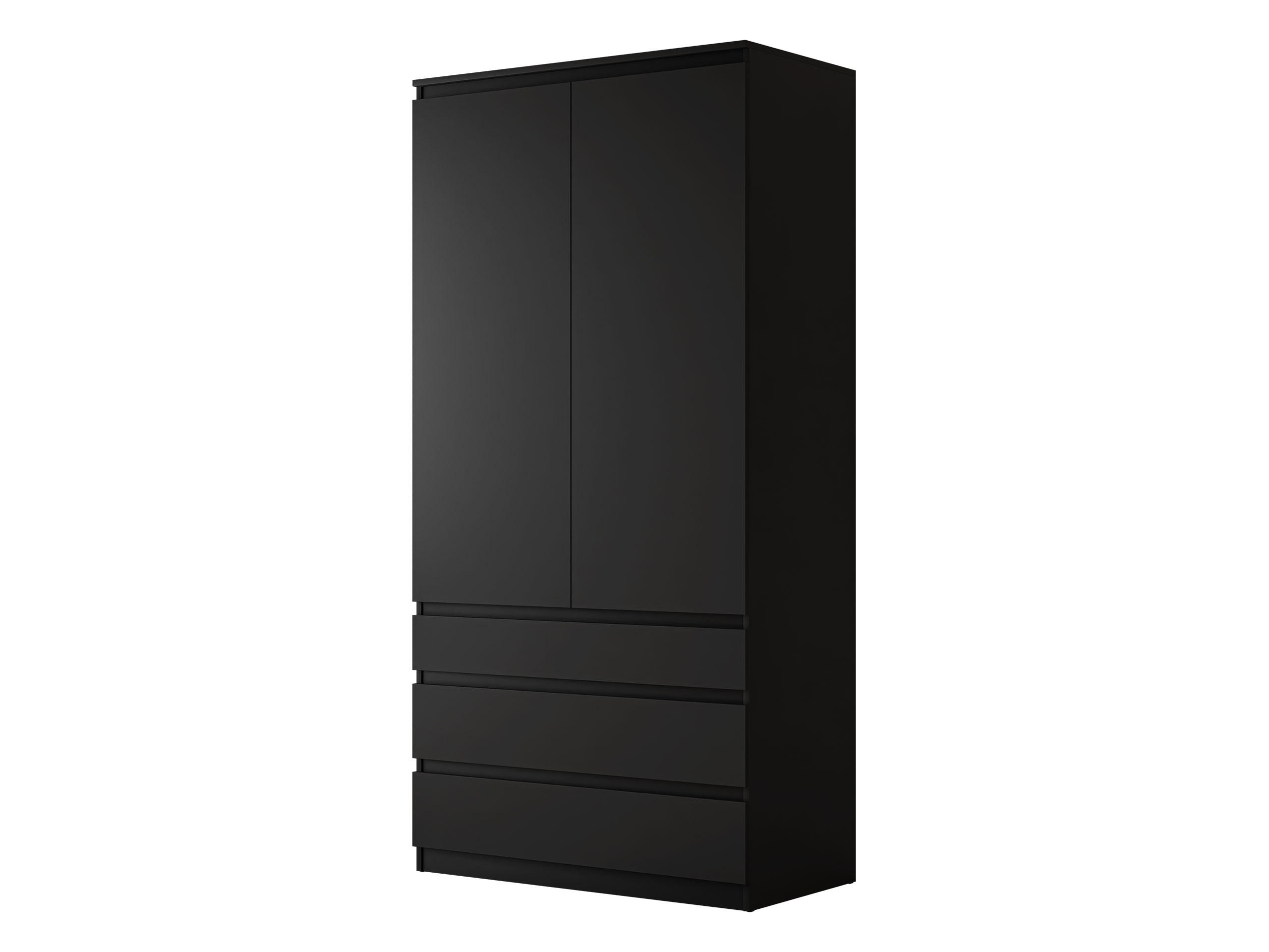 DREHTÜRENSCHRANK Malwa 2D3SZ - Schwarz, Holzwerkstoff (52/202/100cm) - MIRJAN24