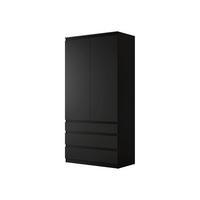 DREHTÜRENSCHRANK Malwa 2D3SZ - Schwarz, Holzwerkstoff (52/202/100cm) - MIRJAN24