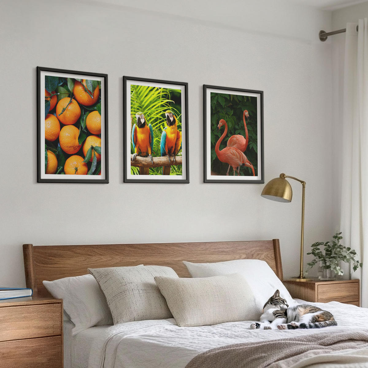 BILDER SET 3er Set - 40x60 cm Schwarzer Rahmen - Fruchtige Akzente in den Tropen - Schwarz, Kunststoff (40/60cm) - TULUP