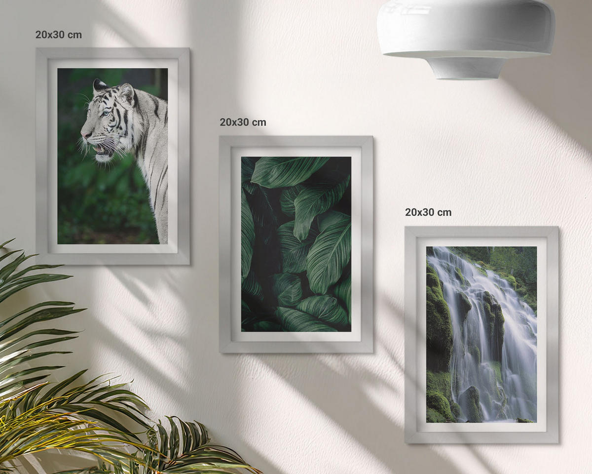 WANDBILDER 3er Set - 20x30 cm Silberner Rahmen - Wasserfall aus weißen Tigerblättern - Silberfarben, Kunststoff (20/30cm) - ArtPrintCave