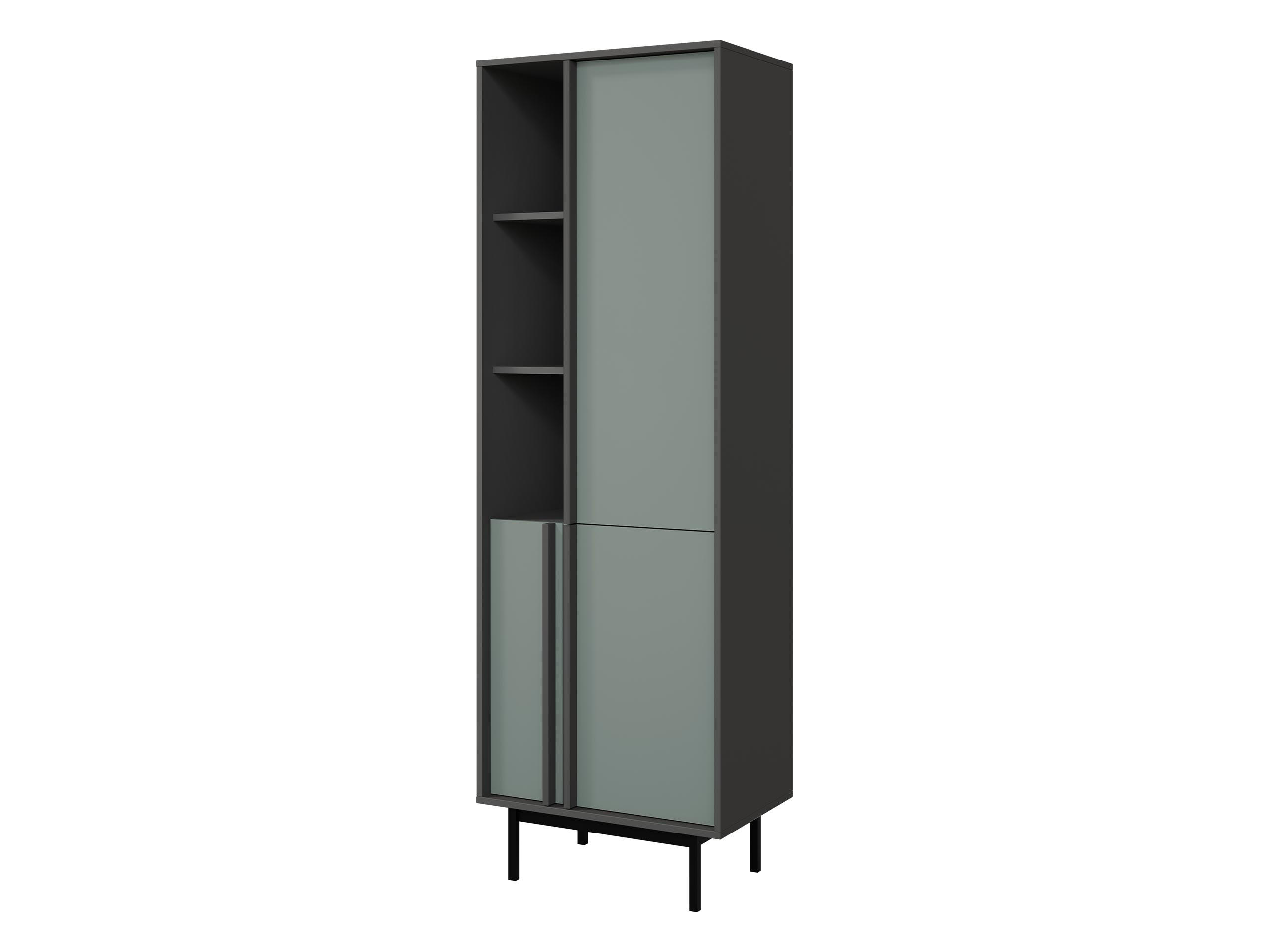 STANDREGAL Alsy 3D AL03 - Anthrazit/Grün, Holzwerkstoff/Kunststoff (63/195/43cm) - MIRJAN24