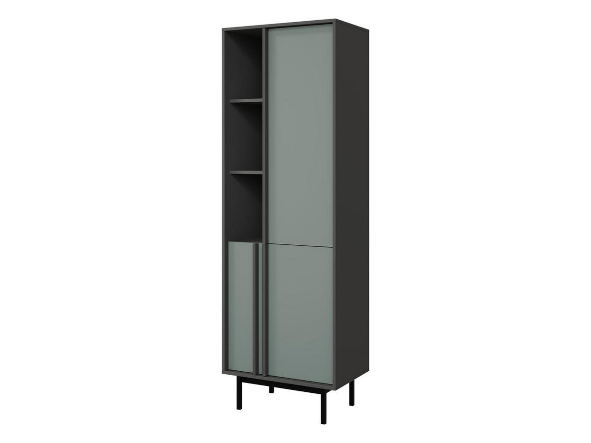 STANDREGAL Alsy 3D AL03 - Anthrazit/Grün, Holzwerkstoff/Kunststoff (63/195/43cm) - MIRJAN24