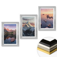 WANDBILDER 3er Set - 20x30 cm Silberner Rahmen - Berglandschaften im Hintergrund - Silberfarben, Kunststoff (20/30cm) - ArtPrintCave