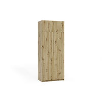 DREHTÜRENSCHRANK Apollonia I ohne Spiegel 100x204cm 2-türig, artisan, goldene Griffe - Goldfarben/Braun, Kunststoff (58/250/100cm) - Margaret Hadas24