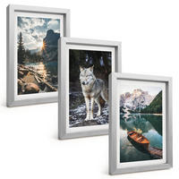 BILDER SET 3er Set - 20x30 cm Silberner Rahmen - Berge, Seen, Wölfe, Natur - Silberfarben, Kunststoff (20/30cm) - TULUP