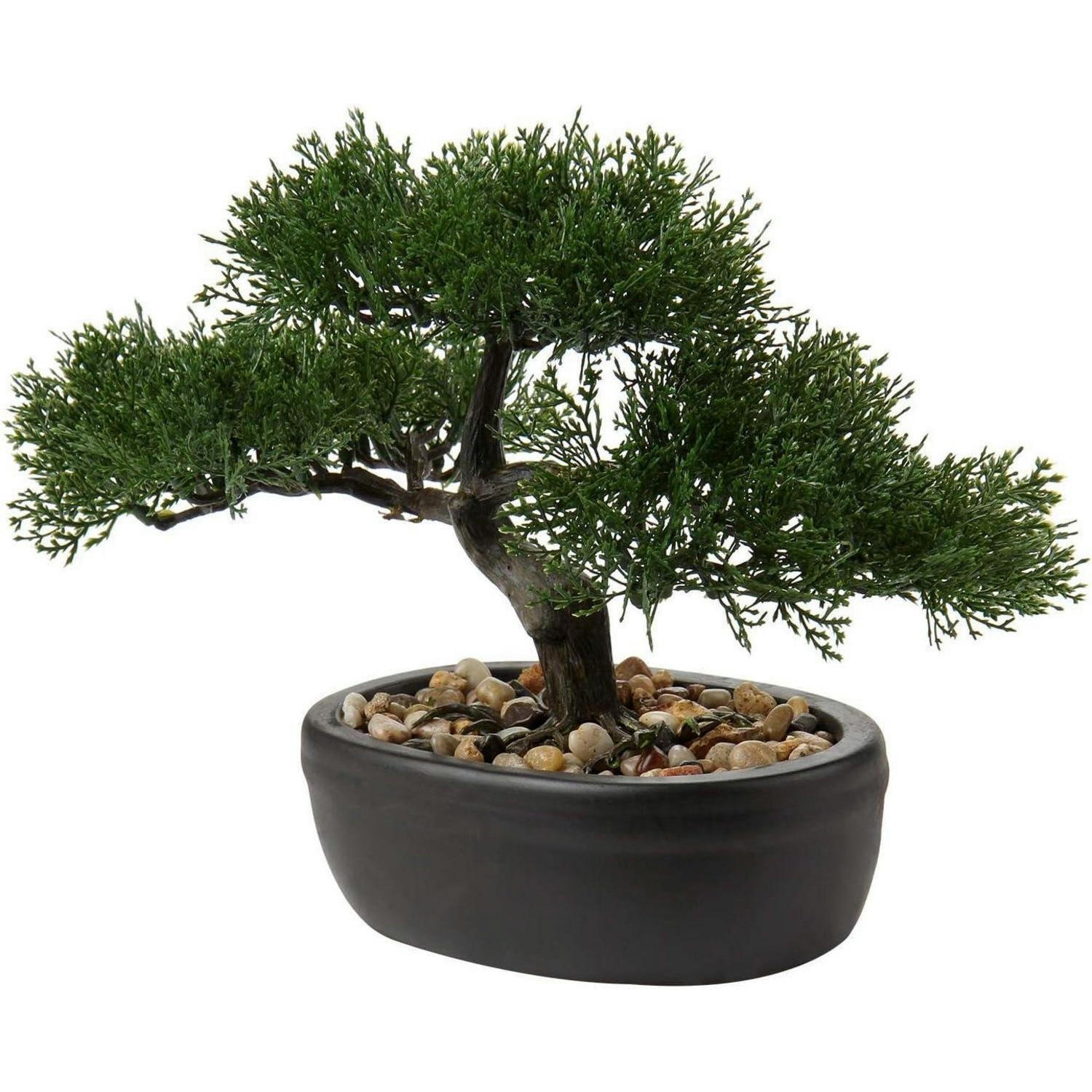 KUNSTBONSAI Zeder mit Keramik-Übertopf Schwarz 23 cm - Grün, Kunststoff (23cm)