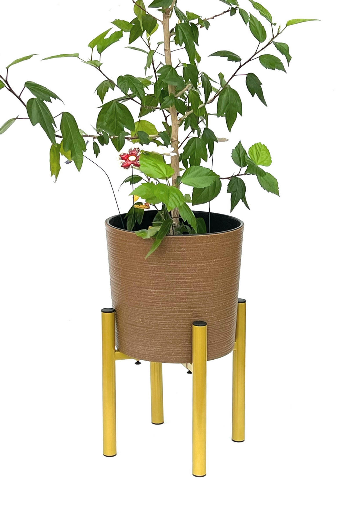 PFLANZENSTÄNDER verstellbar Gold Metall 30 cm 96474 - Goldfarben, Metall (30/30/30cm) - DanDiBo
