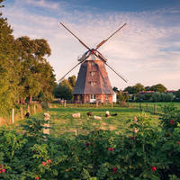FOTOTAPETE Landschaft mit Windmühle 450 x 280 cm - Grün, Papier (450/280cm) - Sanders & Sanders