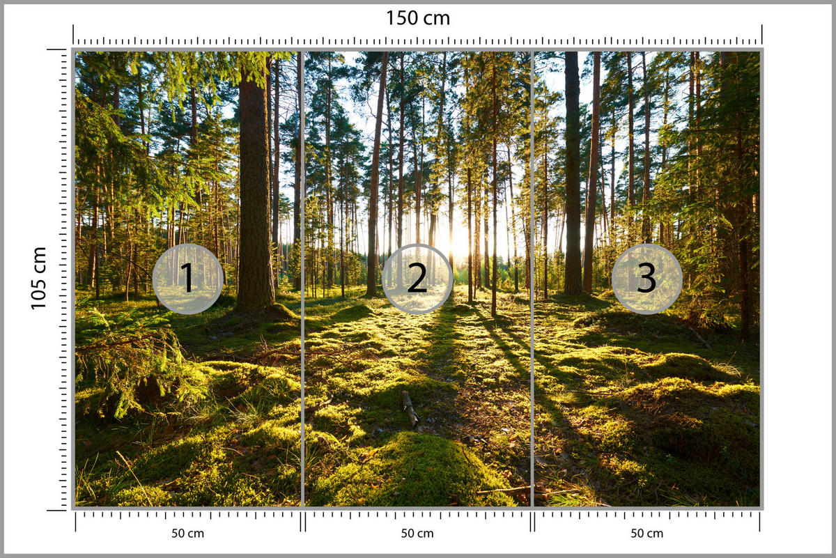 FOTOTAPETE für Küche Sonnenaufgang WALD Moss Bäume Sonnenstrahl 150x105 - Gelb/Braun, Papier (150/105cm) - Muralo