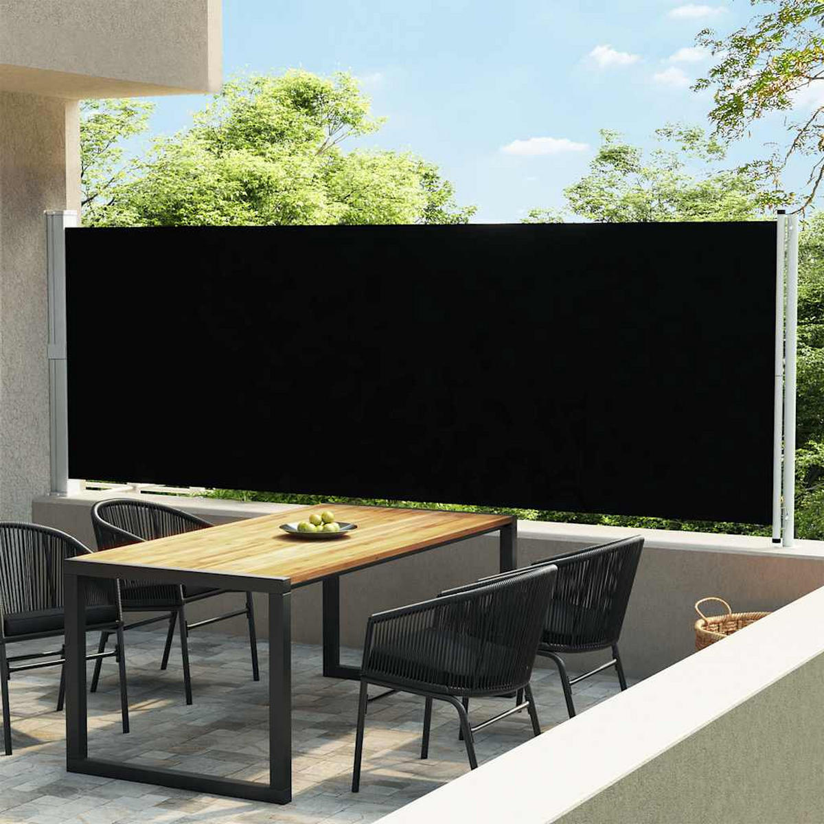 SEITENMARKISE Ausziehbar 600x160 cm Schwarz - Schwarz, Textil (600/160/600cm) - furnicato