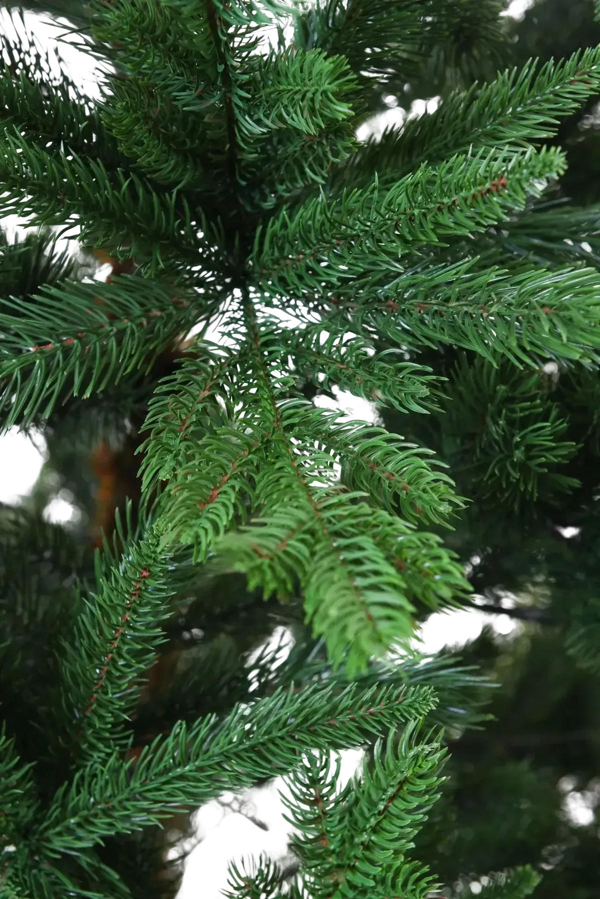 TANNENBAUM Künstlicher Weihnachtsbaum - Gabriel 230 cm - Grün, Kunststoff (230cm) - aplanta