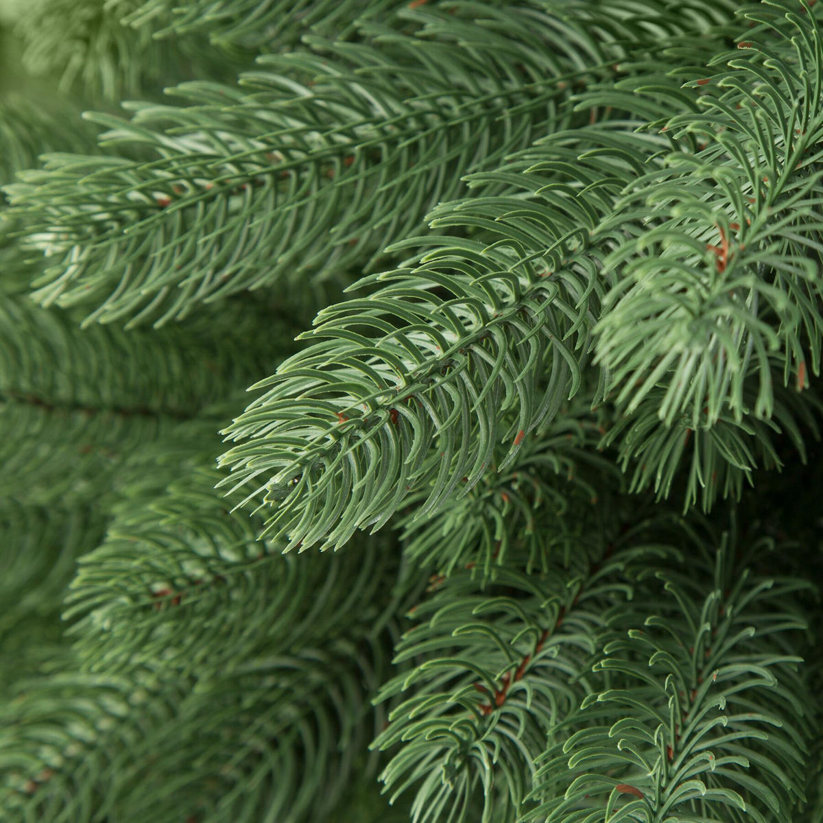 SET WEIHNACHTSBAUM MIT LICHTERKETTE ,inklusive Metallständer mit Kunststoffkappen,grün - Grün, Kunststoff (140cm) - tectake