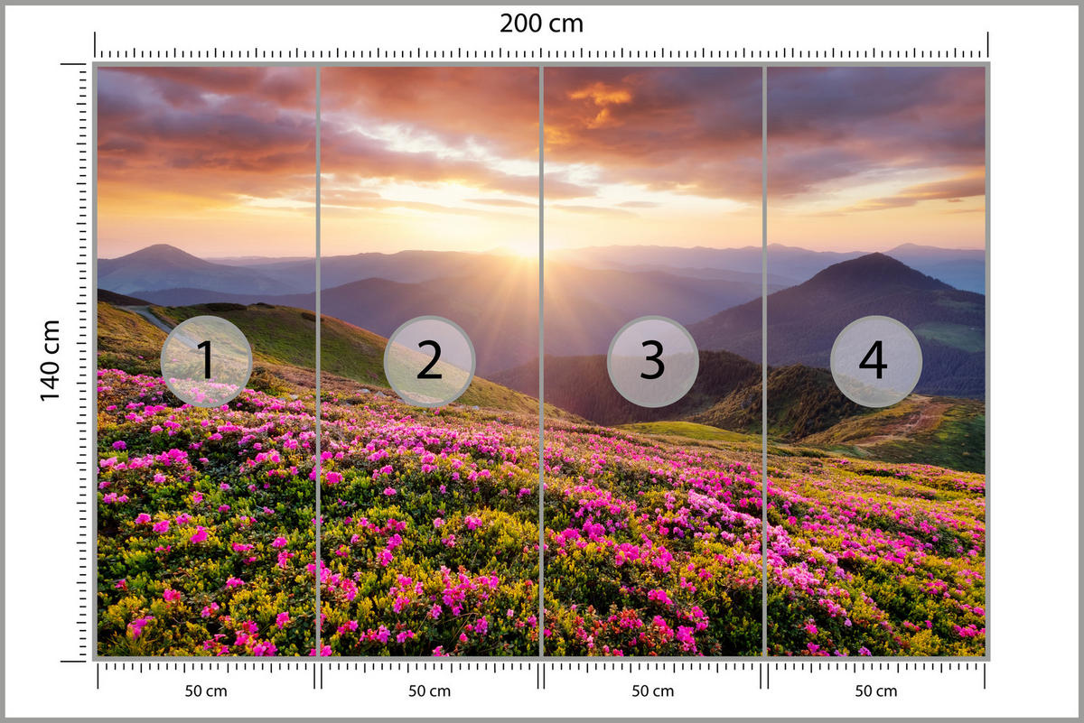 FOTOTAPETE für Wohnzimmer Sonnenuntergang Berge Wiese Blumen 200x140 - Violett/Rosa, Papier (200/140cm) - Muralo