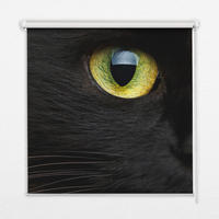 VNÚTORNÁ roleta - okenná roleta - roleta - 100x100 cm - Mačacie oči - čierna, plast (100/100/0.5cm) - TULUP