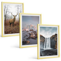 BILDER SET 3er Set - 40x60 cm Goldrahmen - Wilde Berglandschaften - Goldfarben, Kunststoff (40/60cm) - TULUP