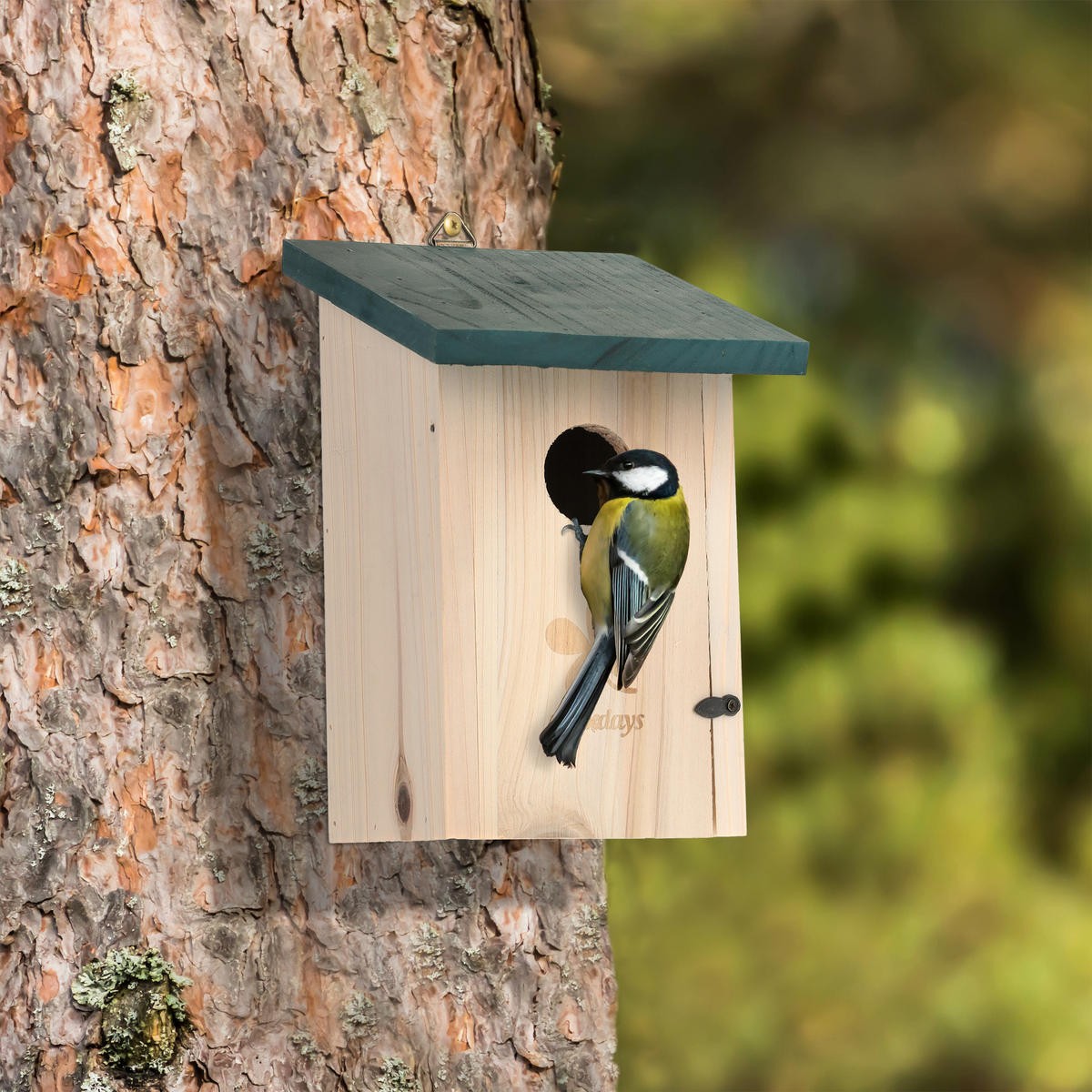 VOGEL-NISTKASTEN - Hellbraun, Holz (14/22/15cm) - Relaxdays