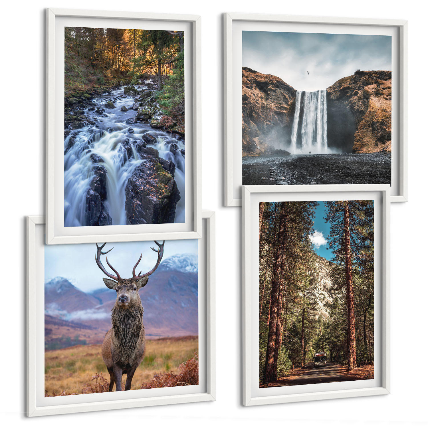 BILDER SET 4er Set - 50x50 cm & 40x60 cm Weißer Rahmen - Wasserfall Wald Berge Hirsch Natur - Weiß, Kunststoff (50/50cm) - TULUP
