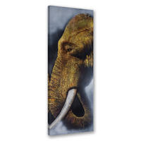 WANDBILD einzelner elefant - Braun, Textil (30/90cm) - Feeby