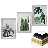 WANDBILDER 3er Set - 20x30 cm Silberner Rahmen - Tropische ästhetische Pflanzen - Silberfarben, Kunststoff (20/30cm) - ArtPrintCave