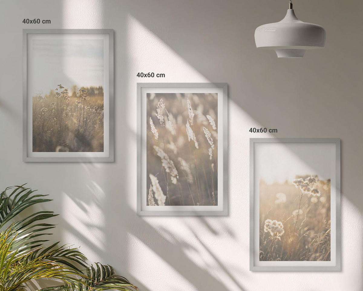 BILDER SET 3er Set - 40x60 cm Silberner Rahmen - Landschaftsgrasblumen Wärme - Silberfarben, Kunststoff (40/60cm) - TULUP
