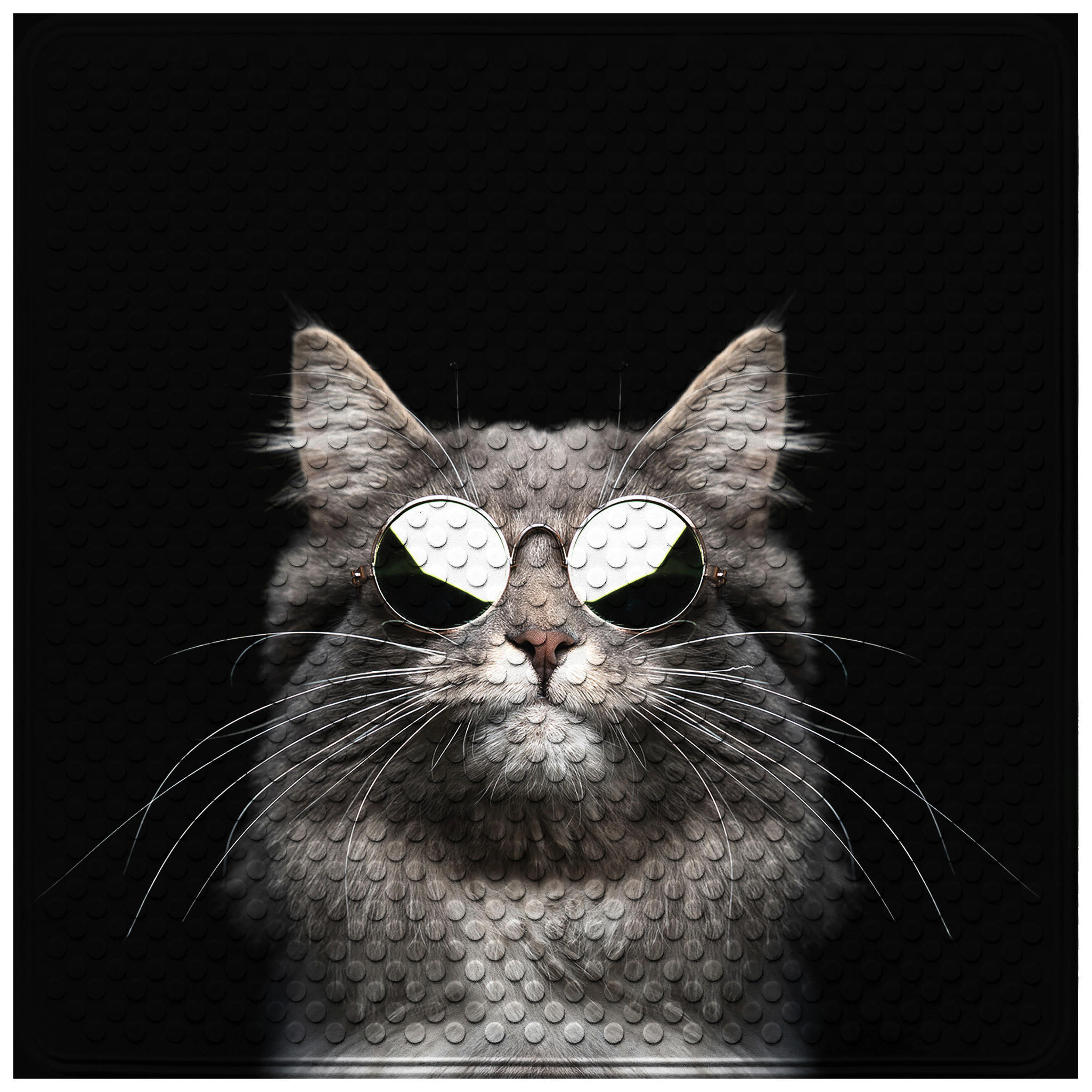 BADEMATTE Cool Cat - Schwarz, Kunststoff (53/53cm) - Sanilo